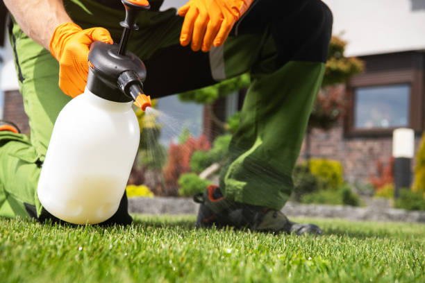 Best Wildlife Control Services  in Highland Park, NJ